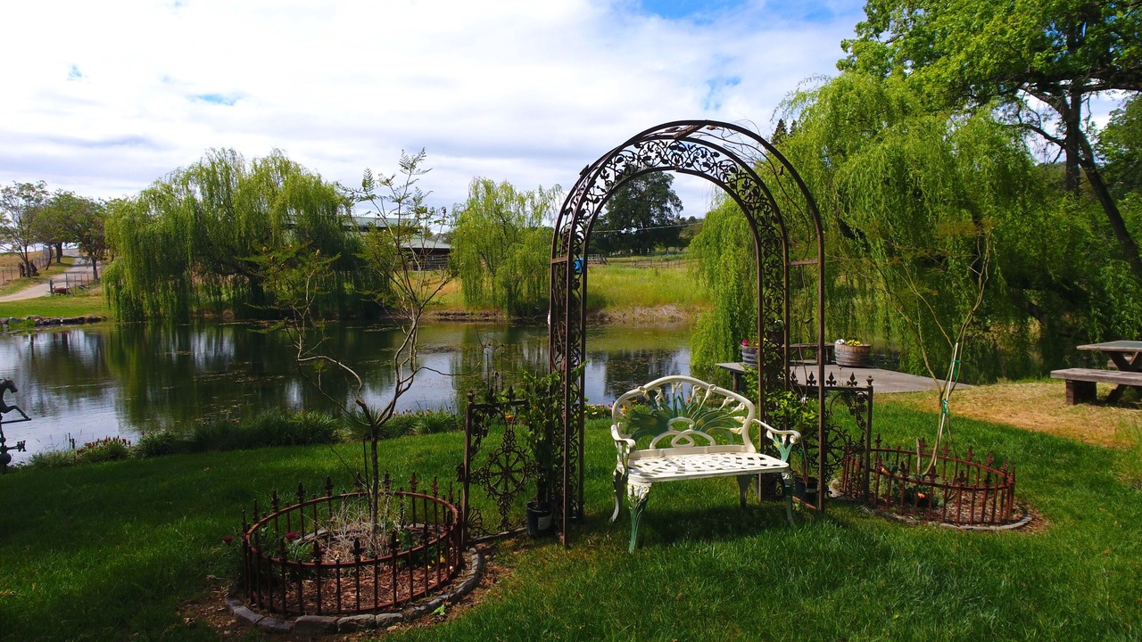 Photo of Others in Lincoln