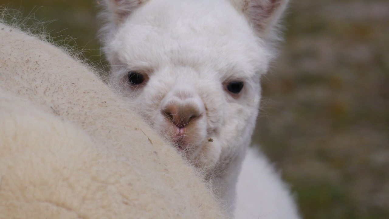 Photo of Others in Lincoln