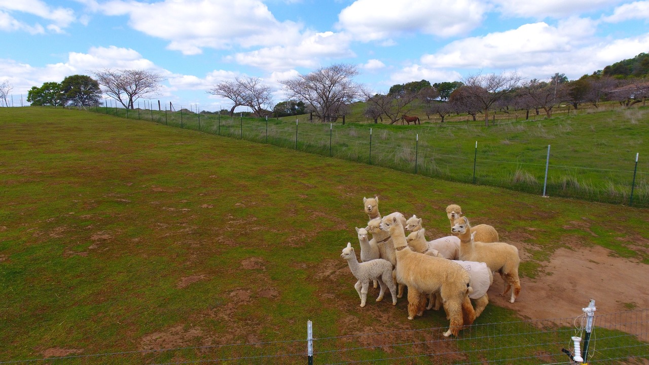 Photo of Outdoor in Lincoln