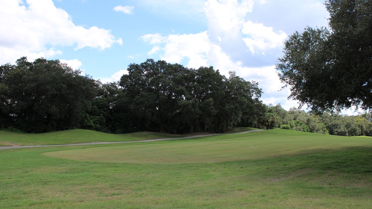 Photo of Others in Wesley Chapel