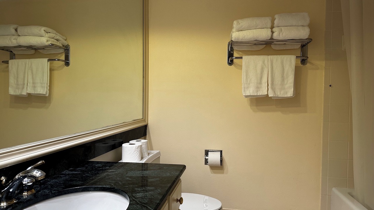 Photo of Bathroom in Wesley Chapel