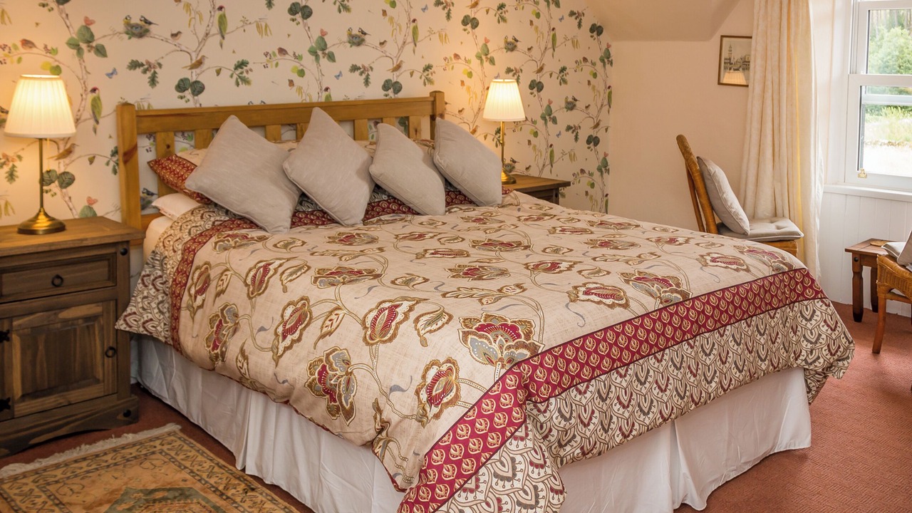 Photo of Others in Hawick