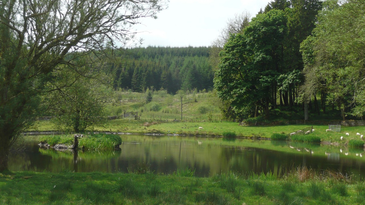 Photo of Others in Hawick