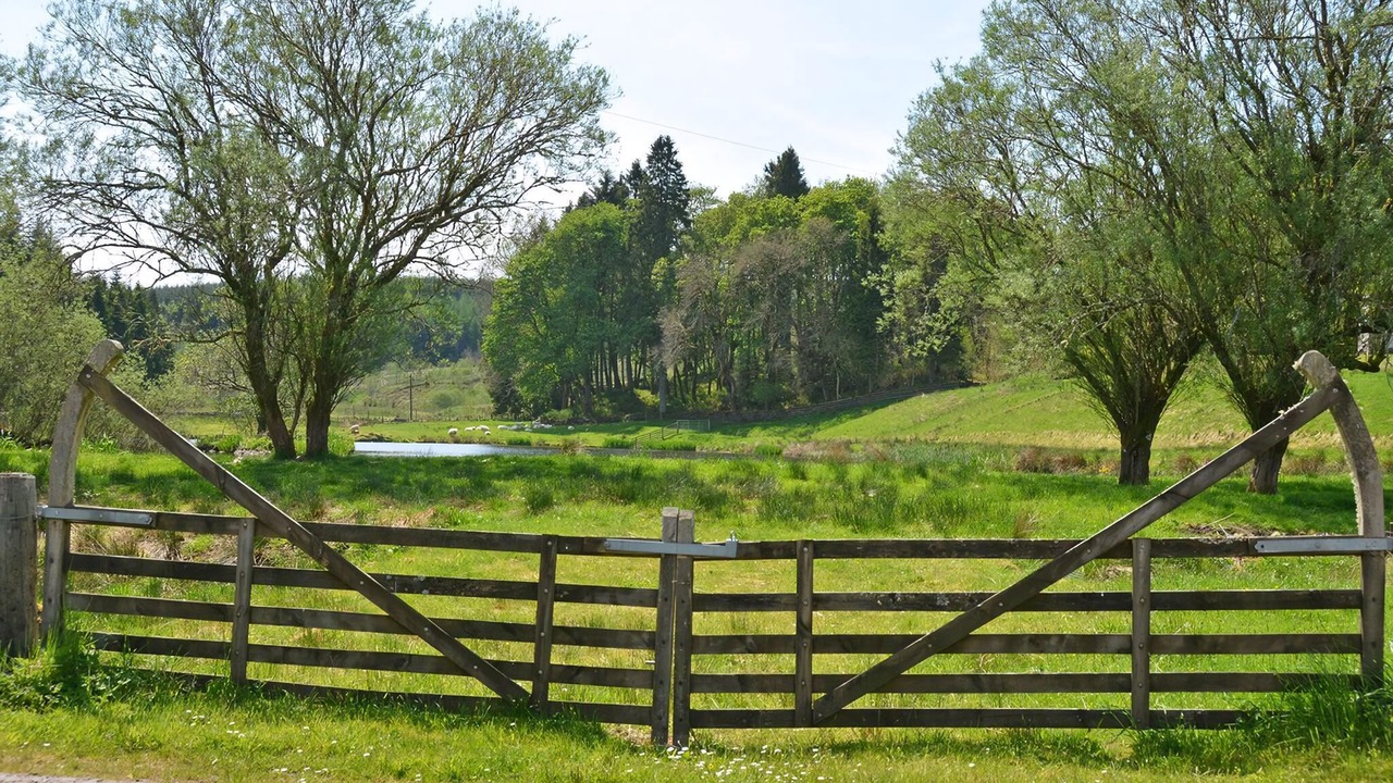 Photo of Others in Hawick