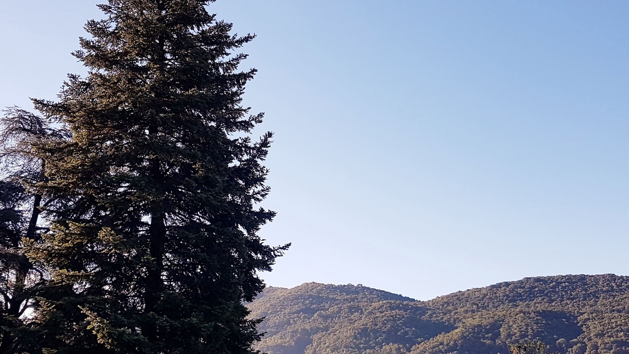 Photo of Outdoor in Vacallo