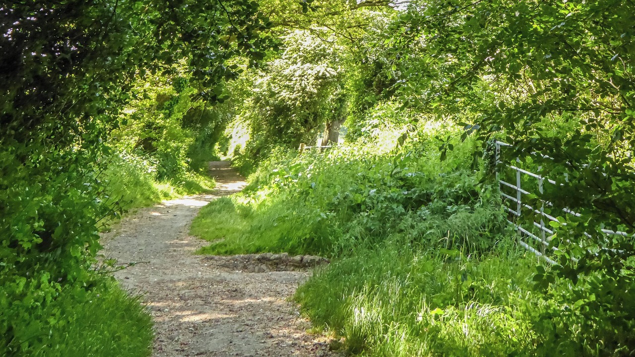 Photo of Others in Winchester