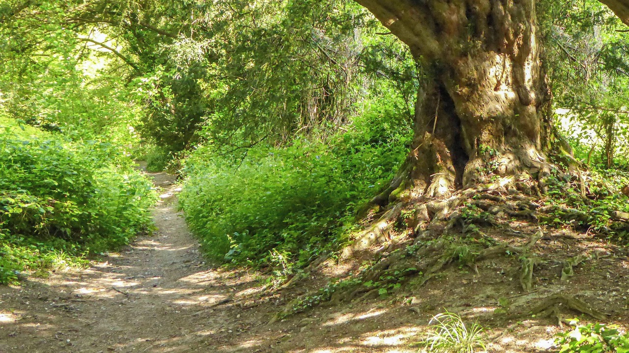 Photo of Others in Winchester