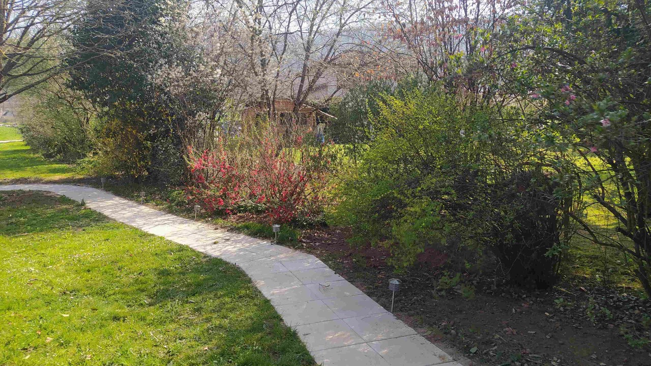 Photo of Outdoor in Simandre-sur-Suran
