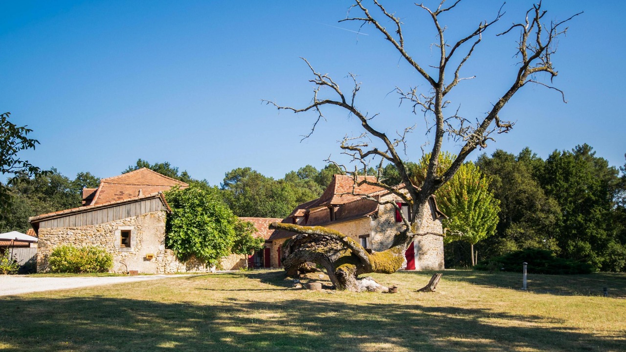 Photo of Outdoor in Issac