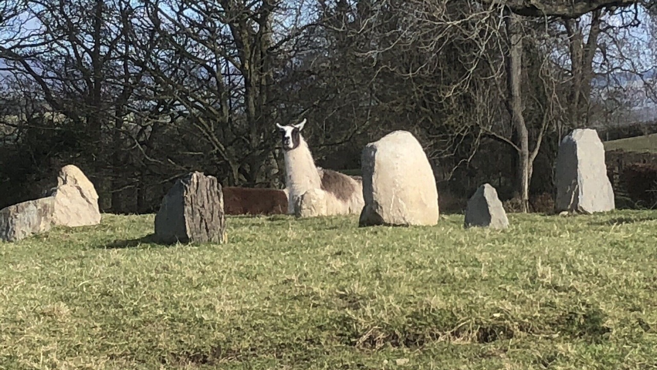 Photo of Others in Corwen