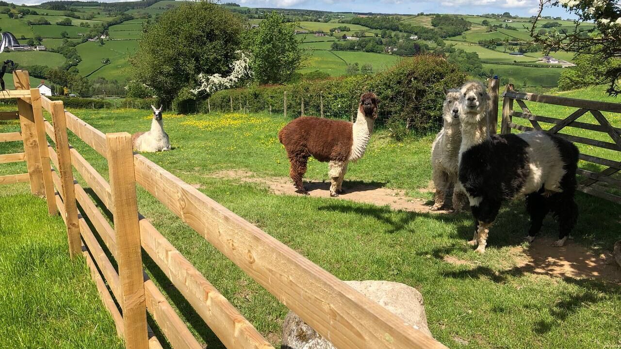 Photo of Others in Corwen