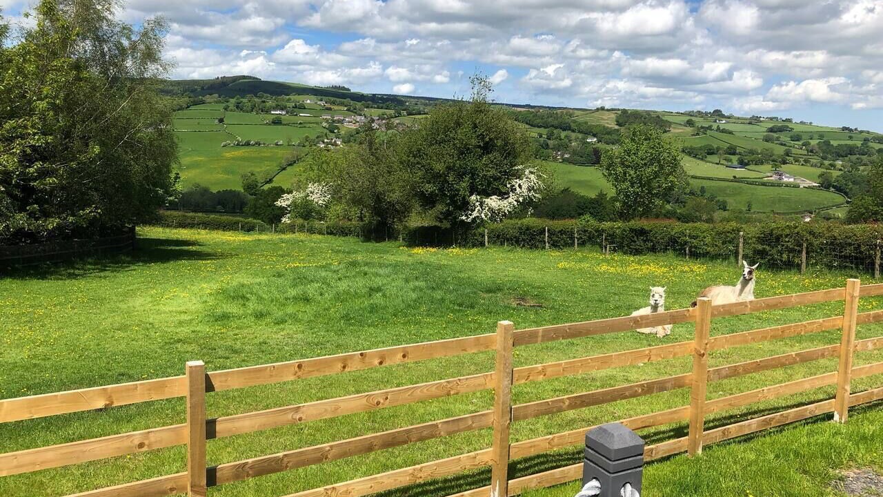 Photo of Others in Corwen