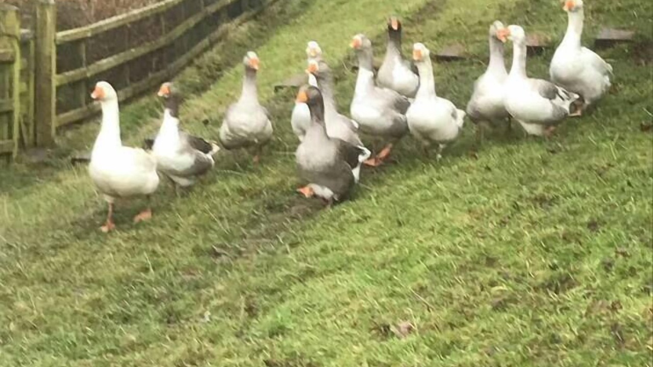 Photo of Others in Corwen