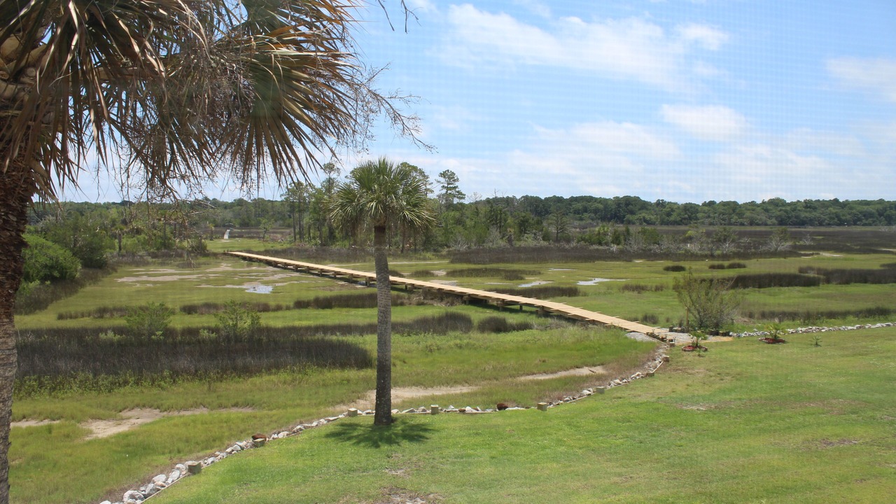 Photo of Others in Edisto Island