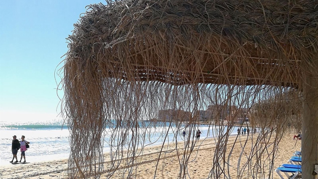 Photo of Others in Torrevieja