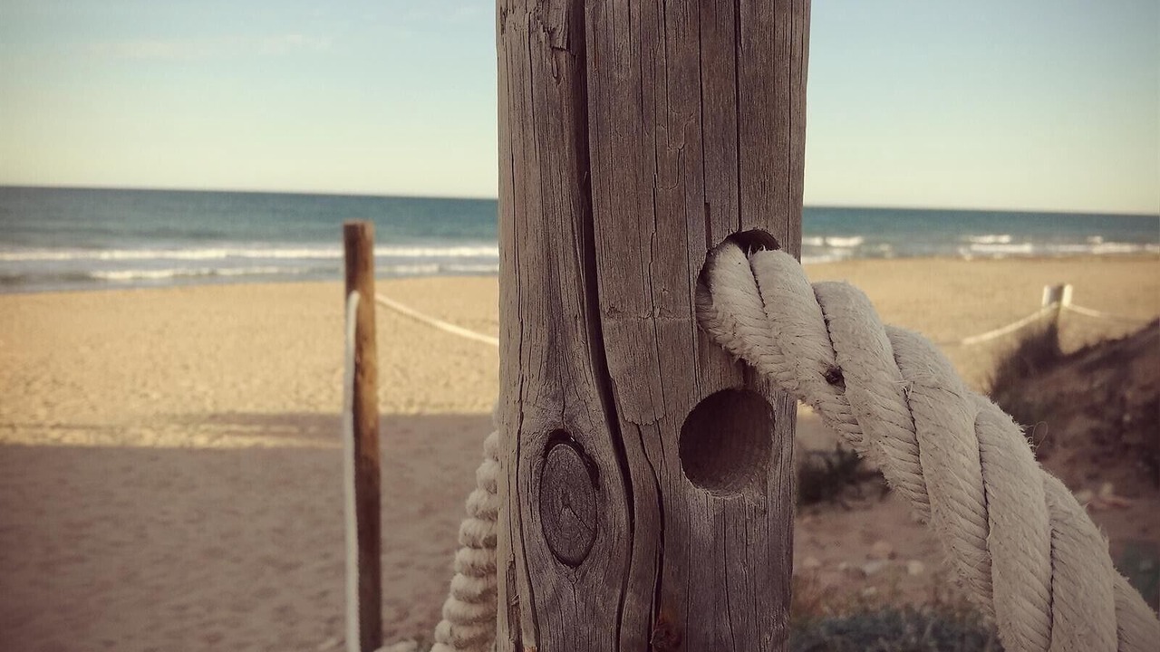 Photo of Others in Torrevieja