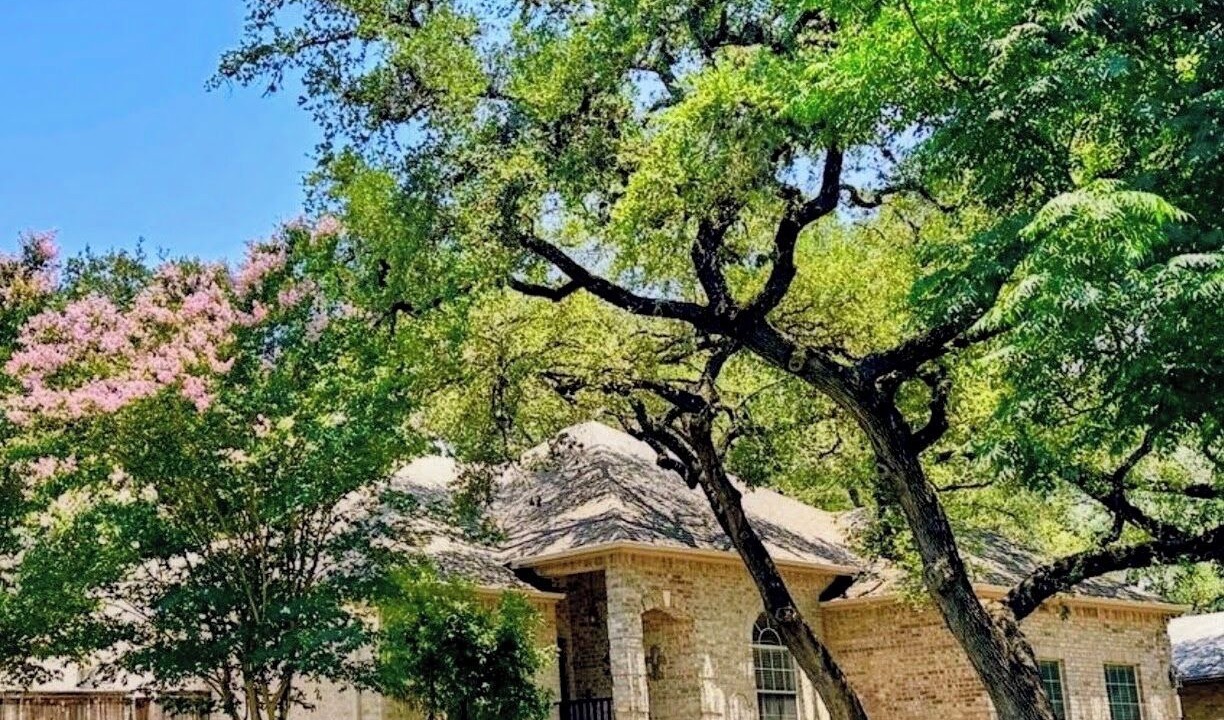 Photo of Outdoor in North San Antonio - SAT