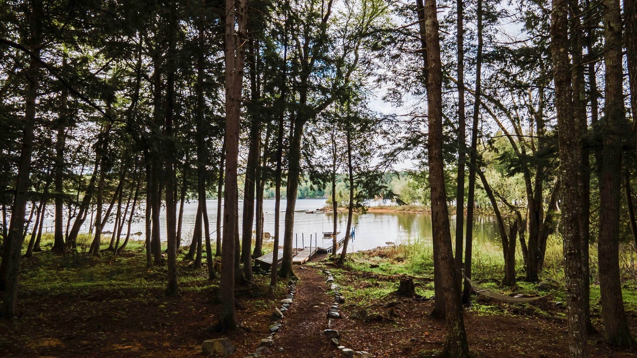 Photo of Outdoor in Bowerbank