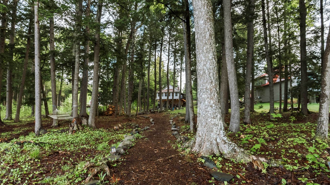 Photo of Outdoor in Bowerbank