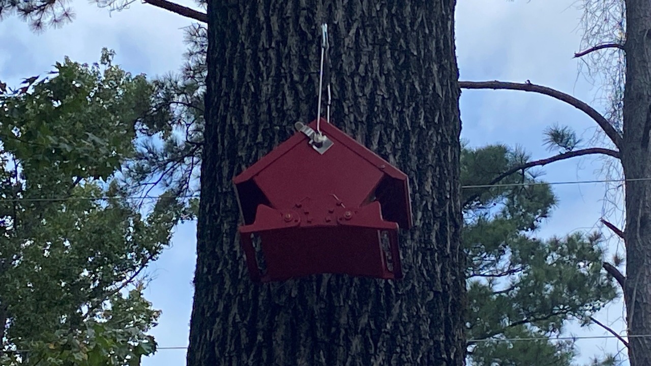 Photo of Others in Hemphill