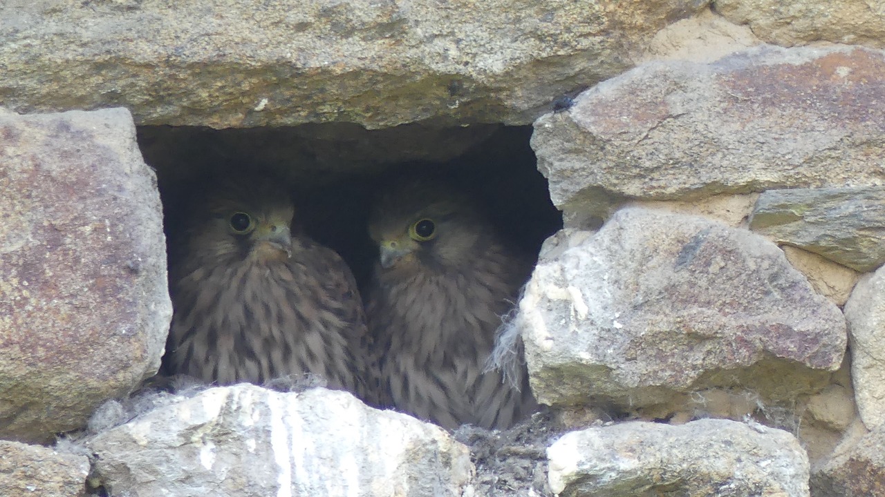 Photo of Outdoor in Pleven