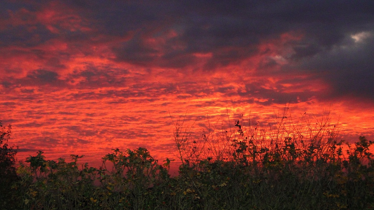 Photo of Others in Pleven