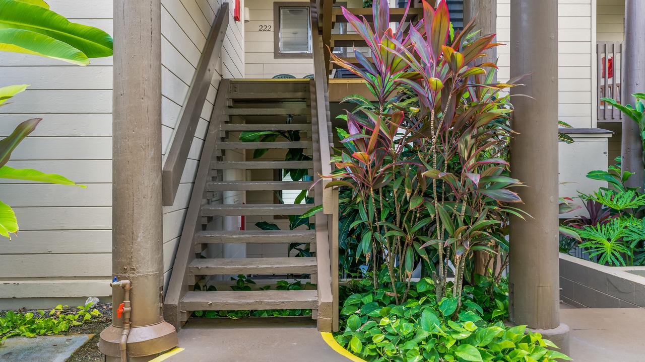 Photo of Outdoor in Lihue