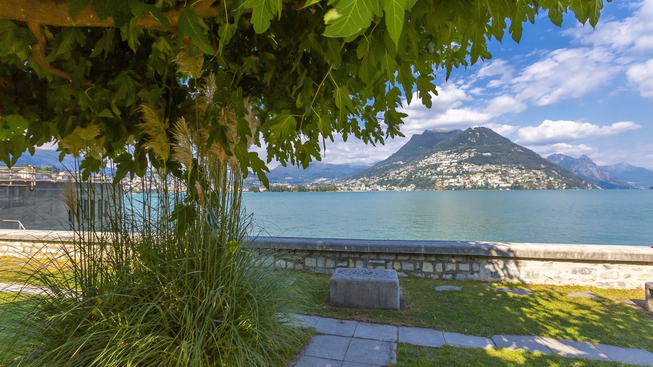 Photo of Outdoor in Paradiso