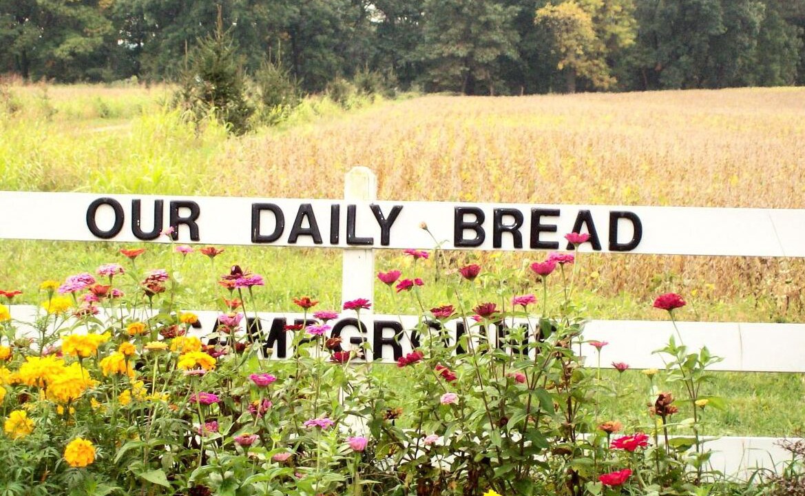 Photo of Outdoor in Marcellus