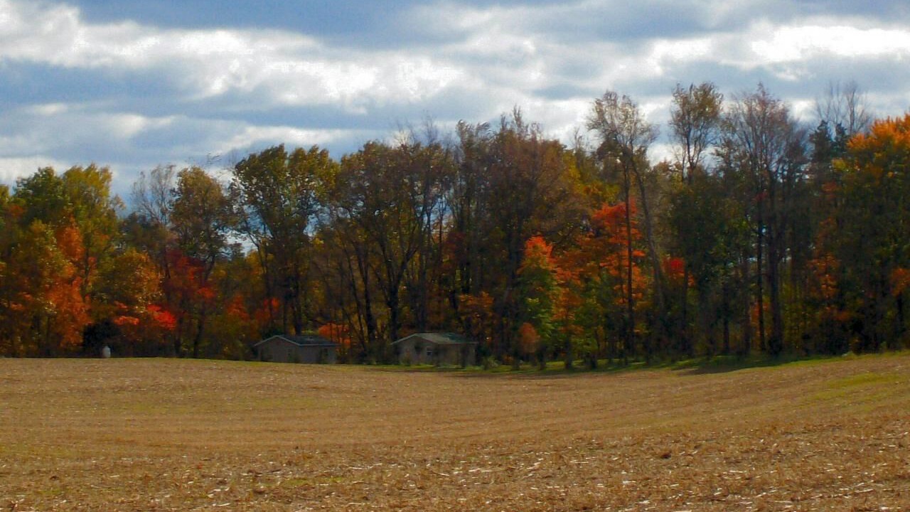 Photo of Others in Marcellus