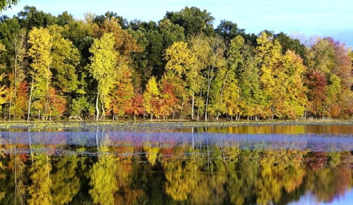 Photo of Outdoor in Marcellus