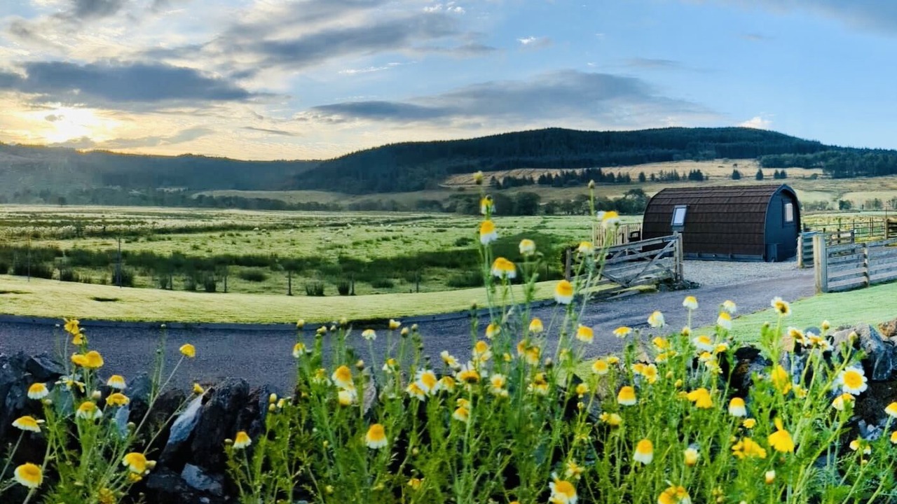 Photo of Others in Lochgilphead