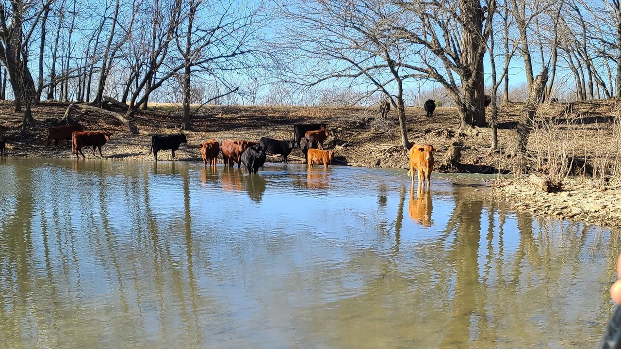 Photo of Others in Elk County