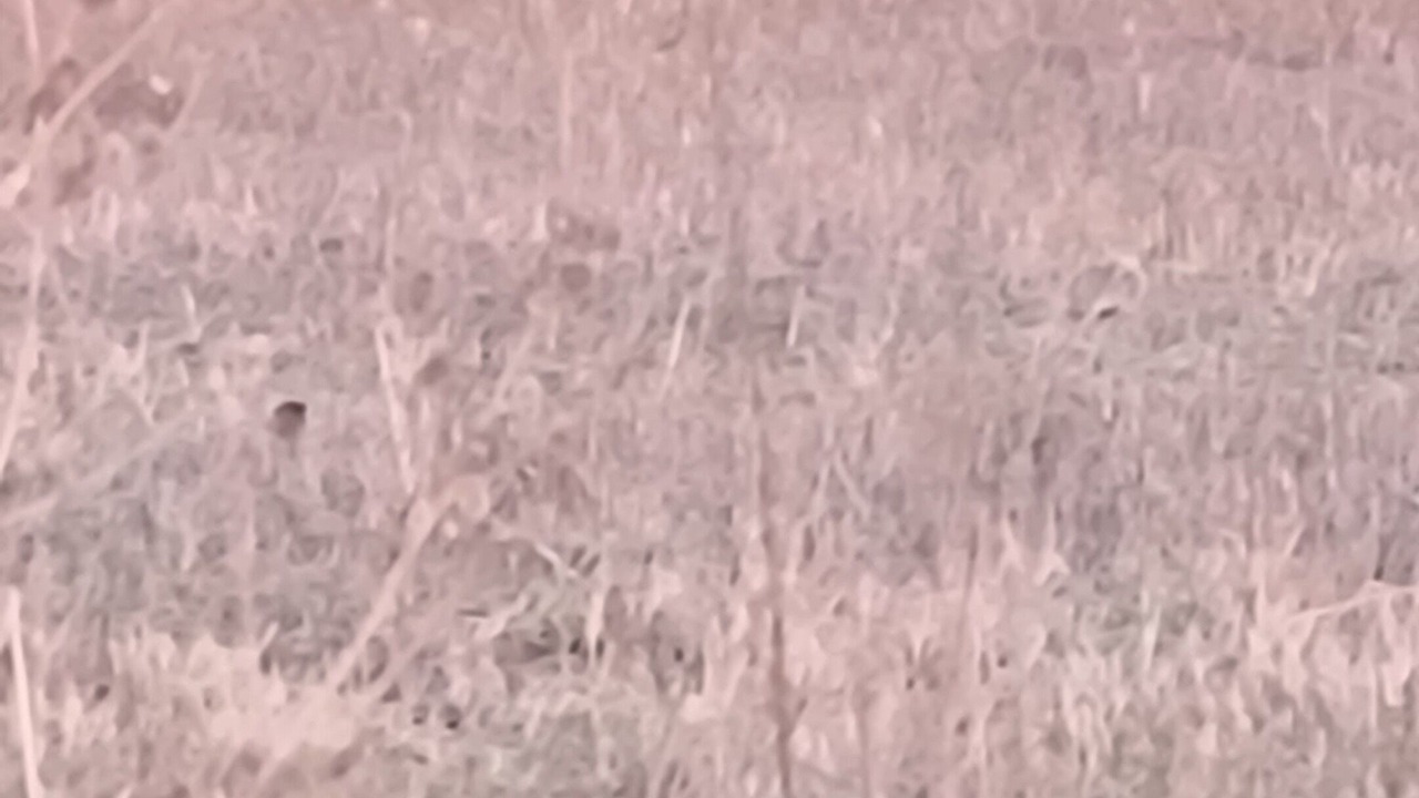 Photo of Outdoor in Elk County