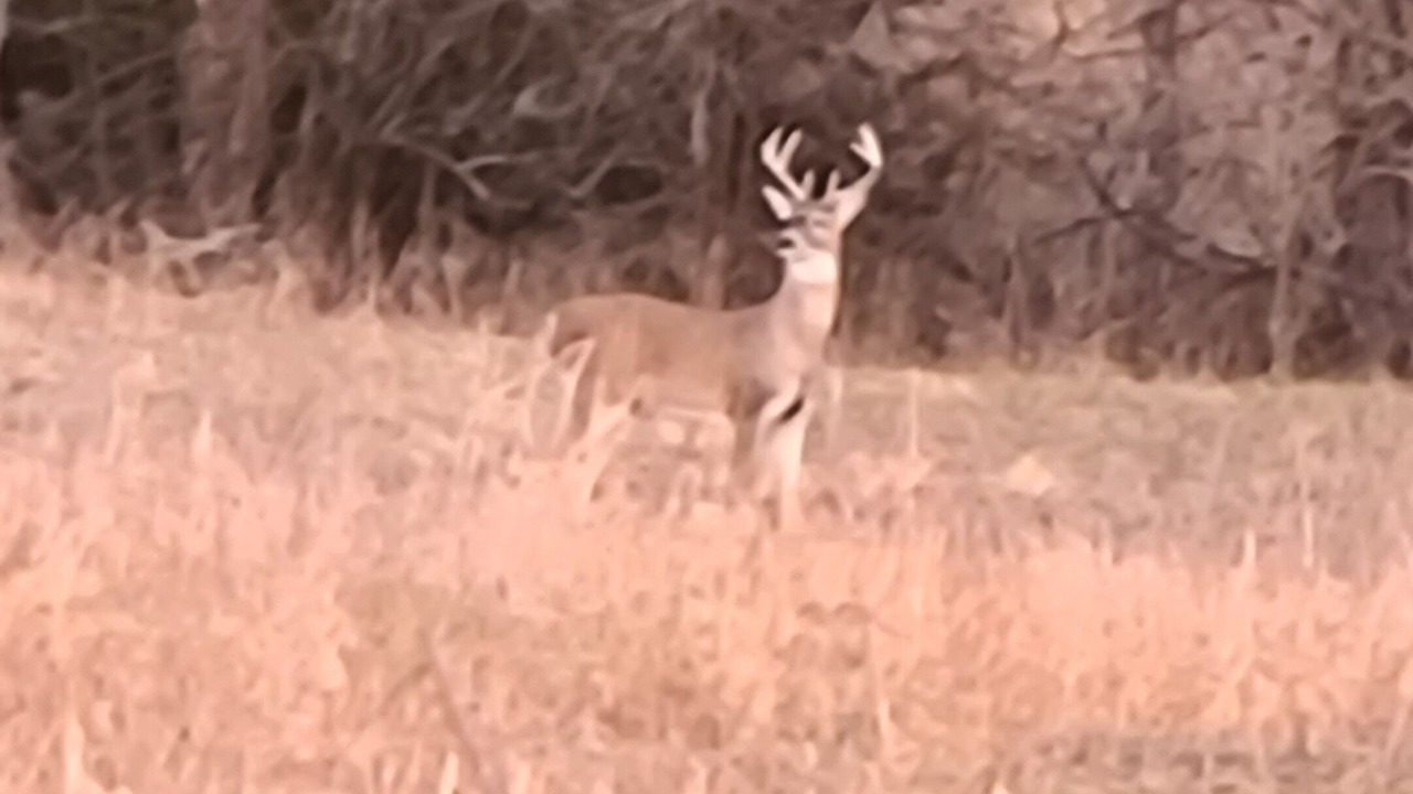 Photo of Others in Elk County