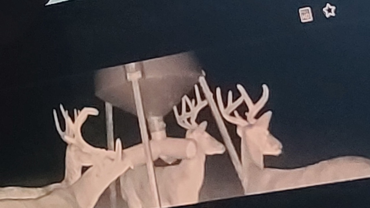 Photo of Others in Elk County