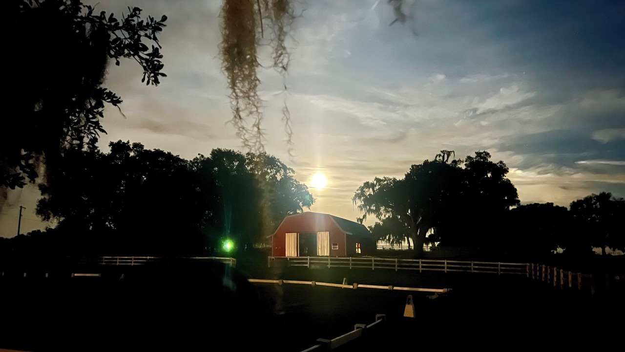 Photo of Others in Brooksville