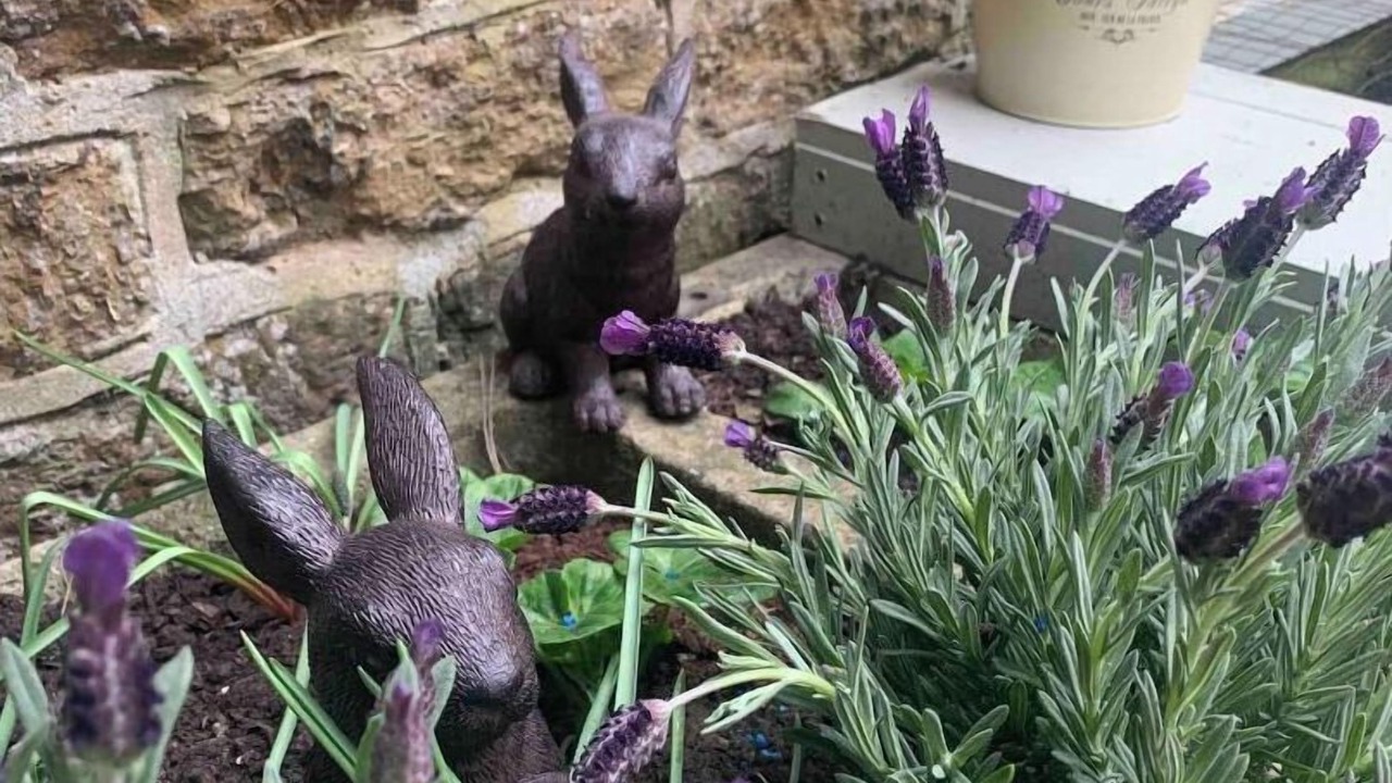 Photo of Outdoor in Culworth