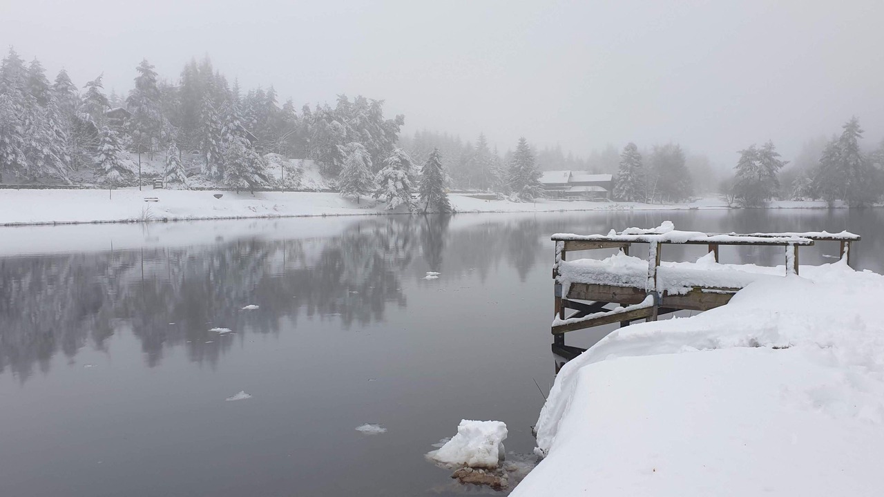 Photo of Others in Camprieu