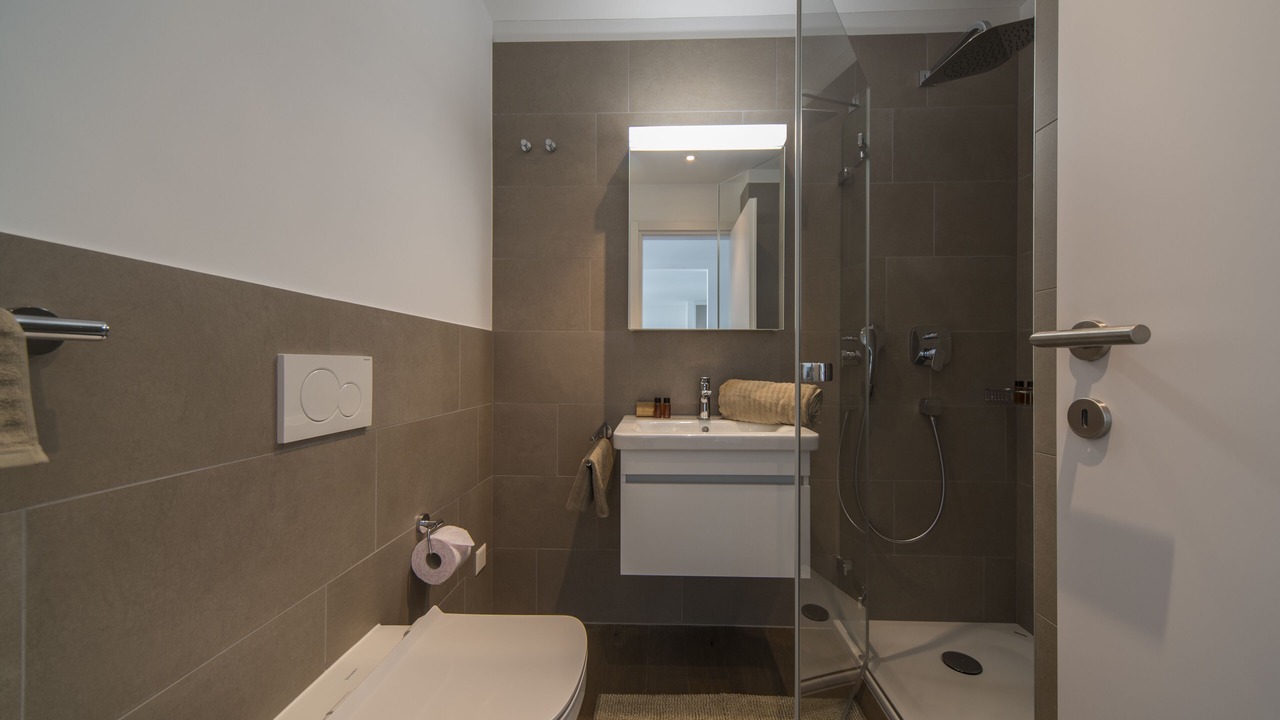 Photo of Bathroom in Massagno