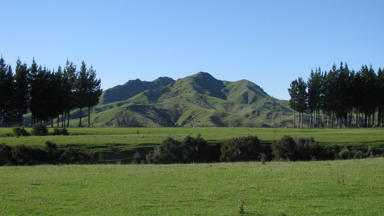 Photo of Outdoor in Wairarapa