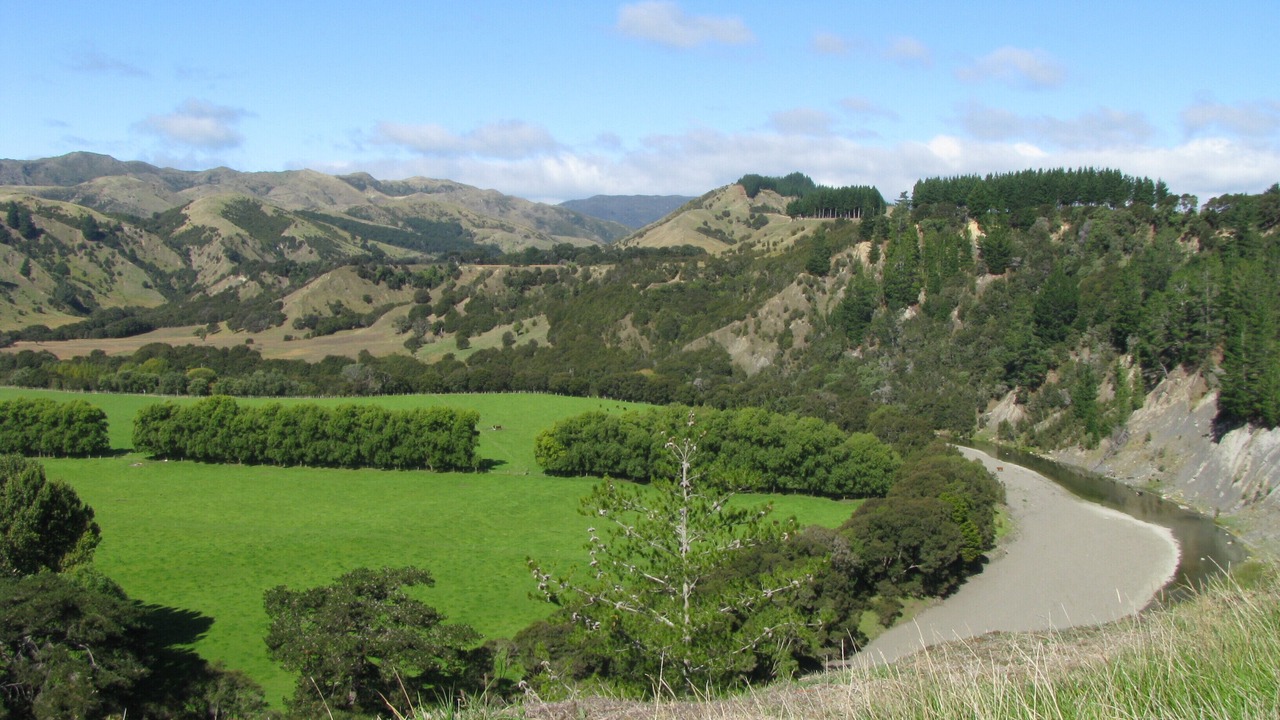 Photo of Outdoor in Wairarapa