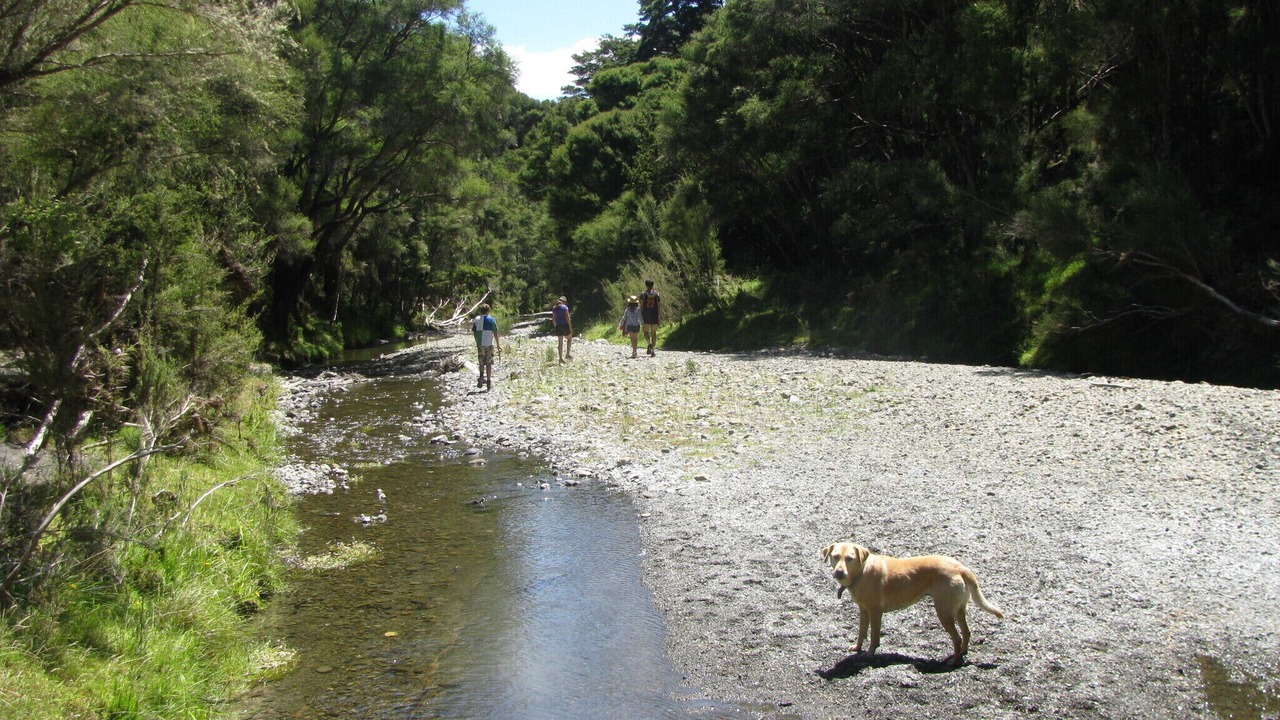 Photo of Others in Wairarapa