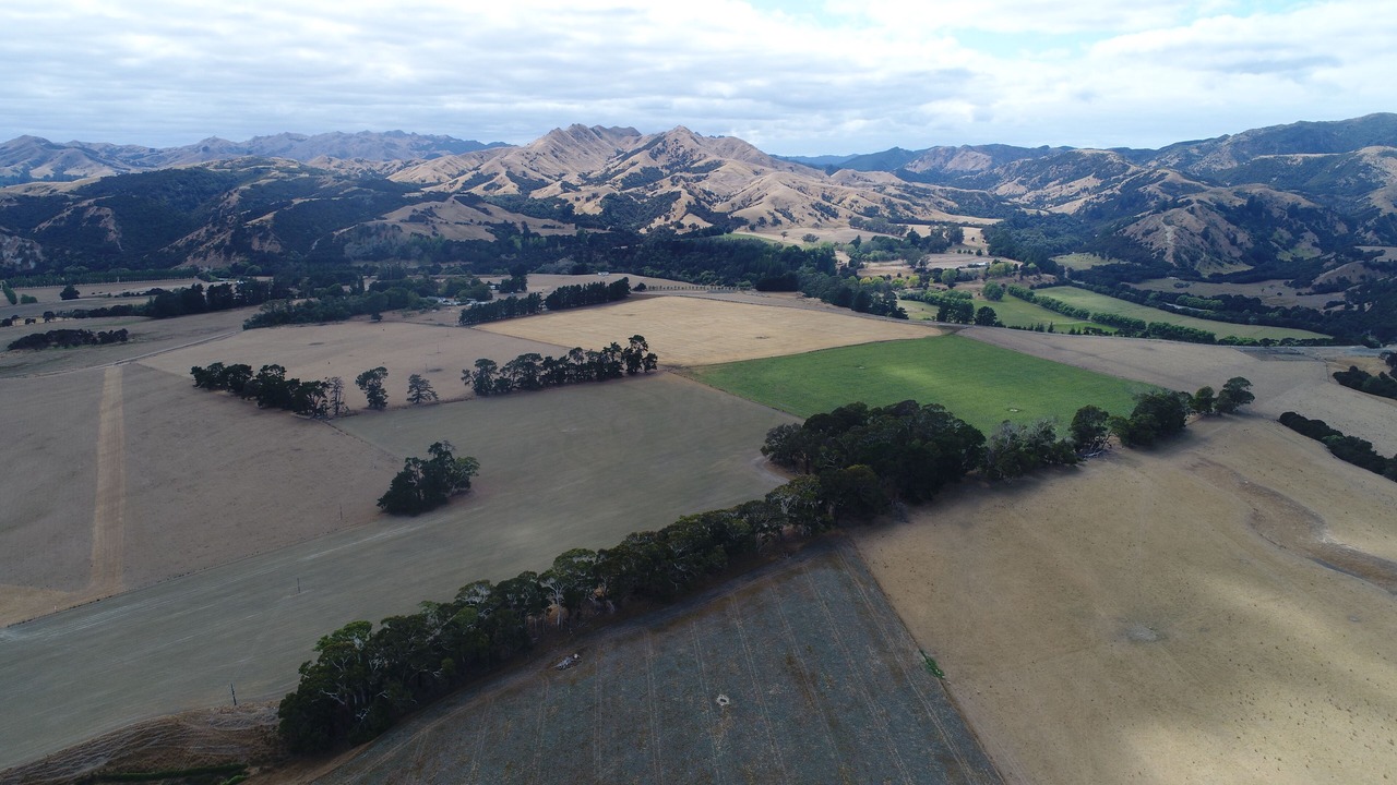 Photo of Outdoor in Wairarapa