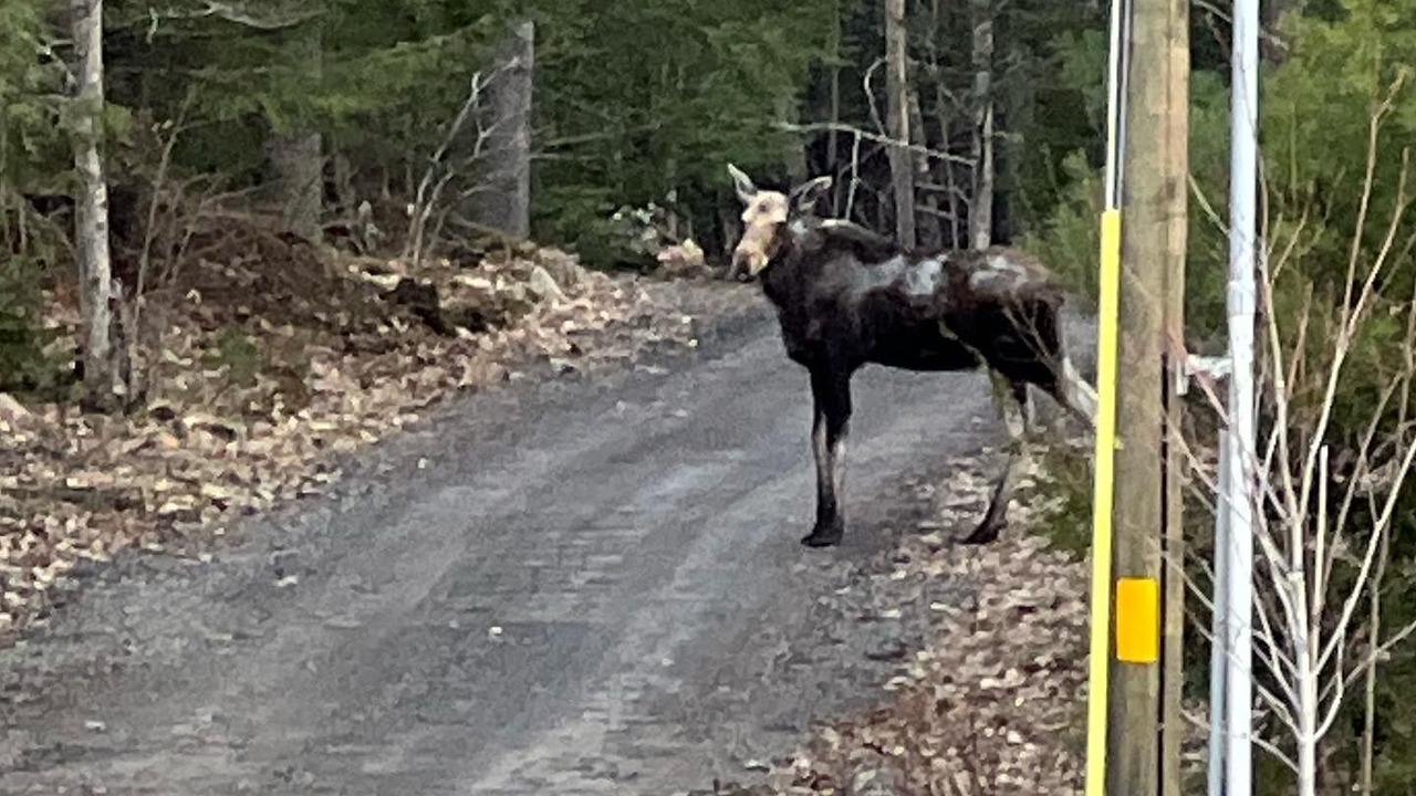 Photo of Others in Hebron