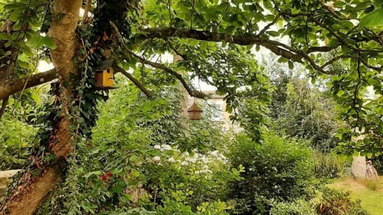 Photo of Outdoor in Penvenan