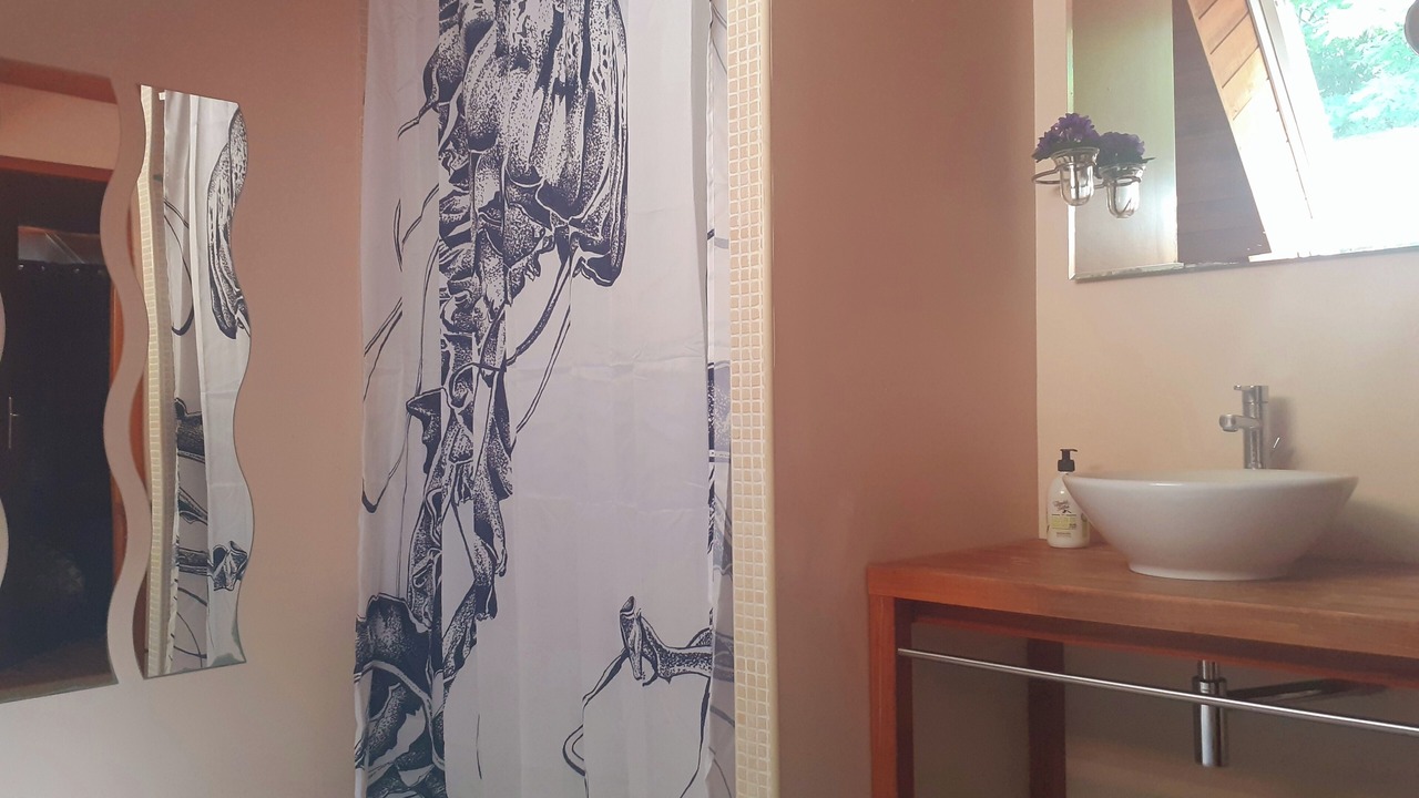 Photo of Bathroom in Saint-Nazaire