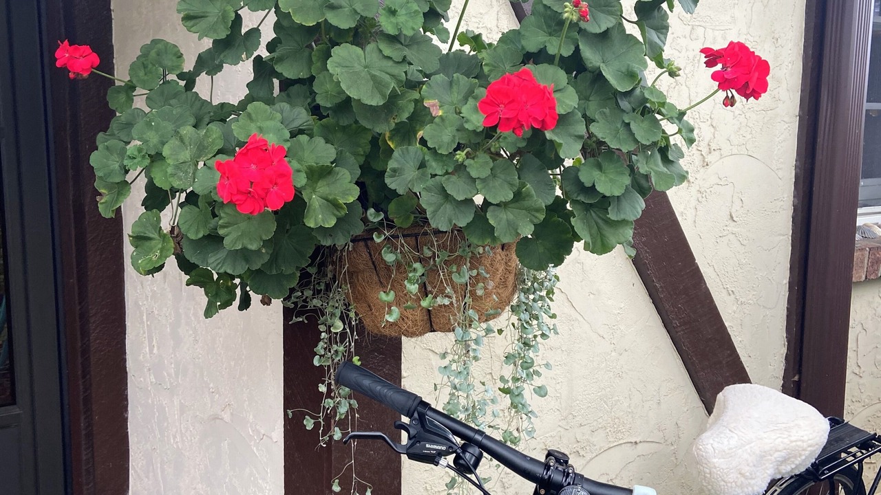 Photo of Outdoor in Village of Southampton