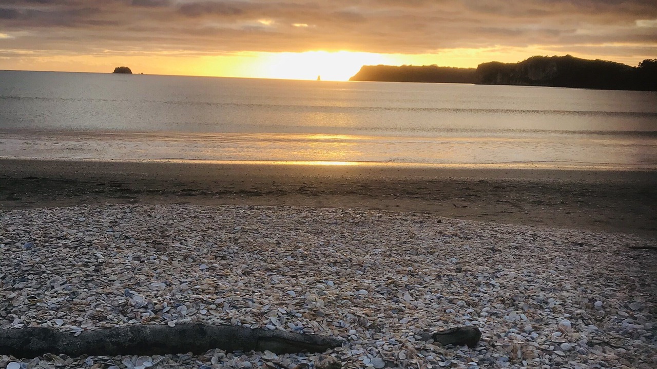 Photo of Others in Whitianga