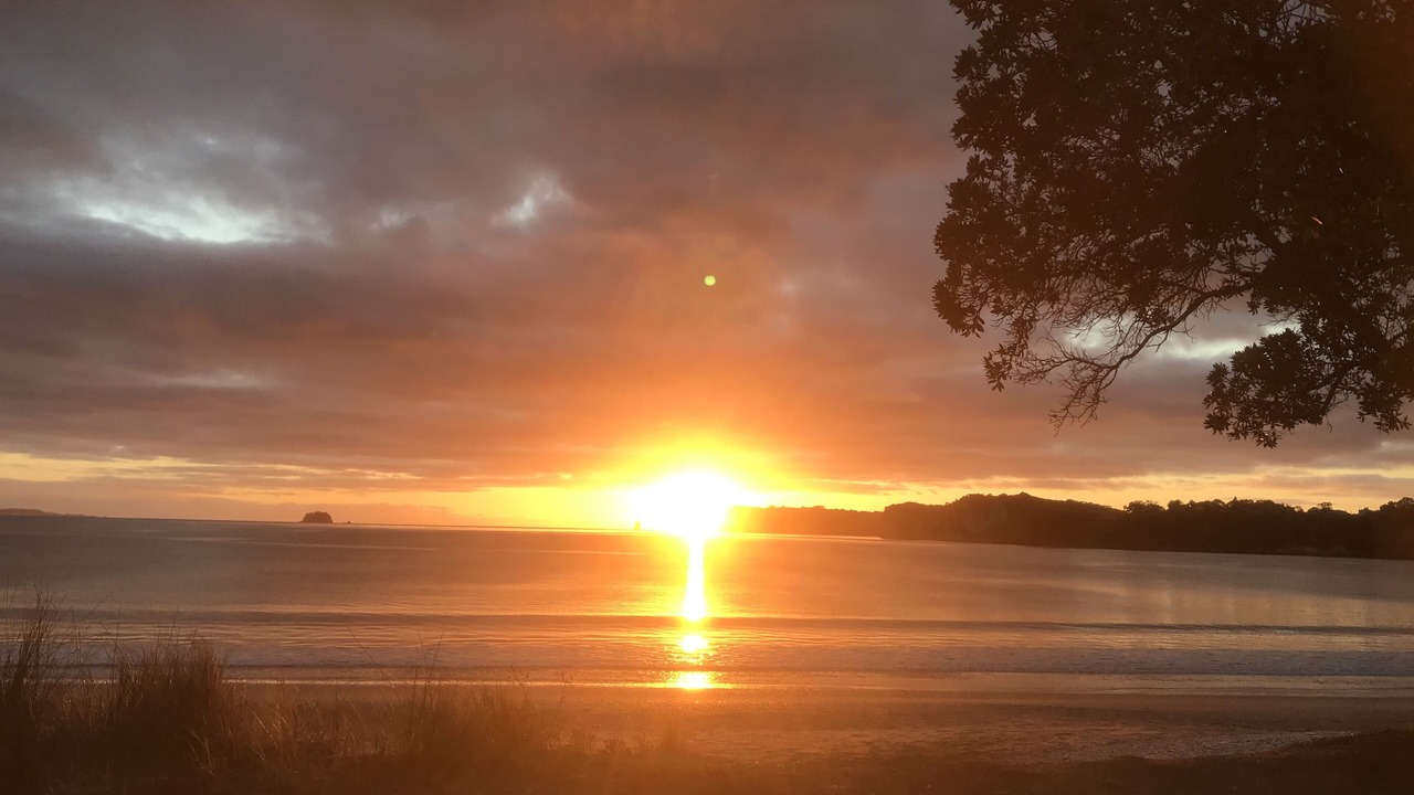 Photo of Others in Whitianga